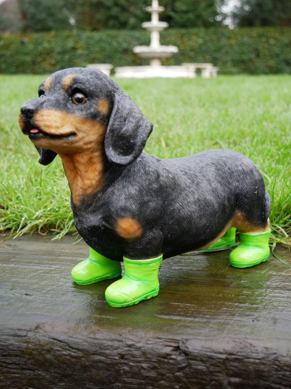 Dog In Boots