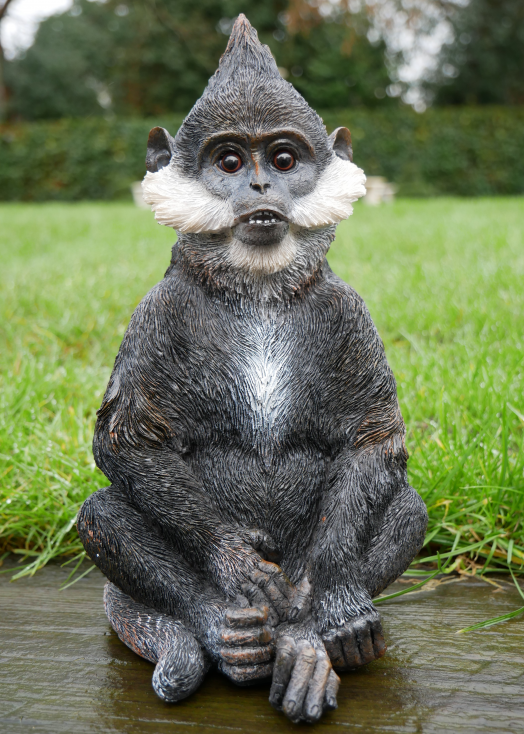 Bearded Monkey