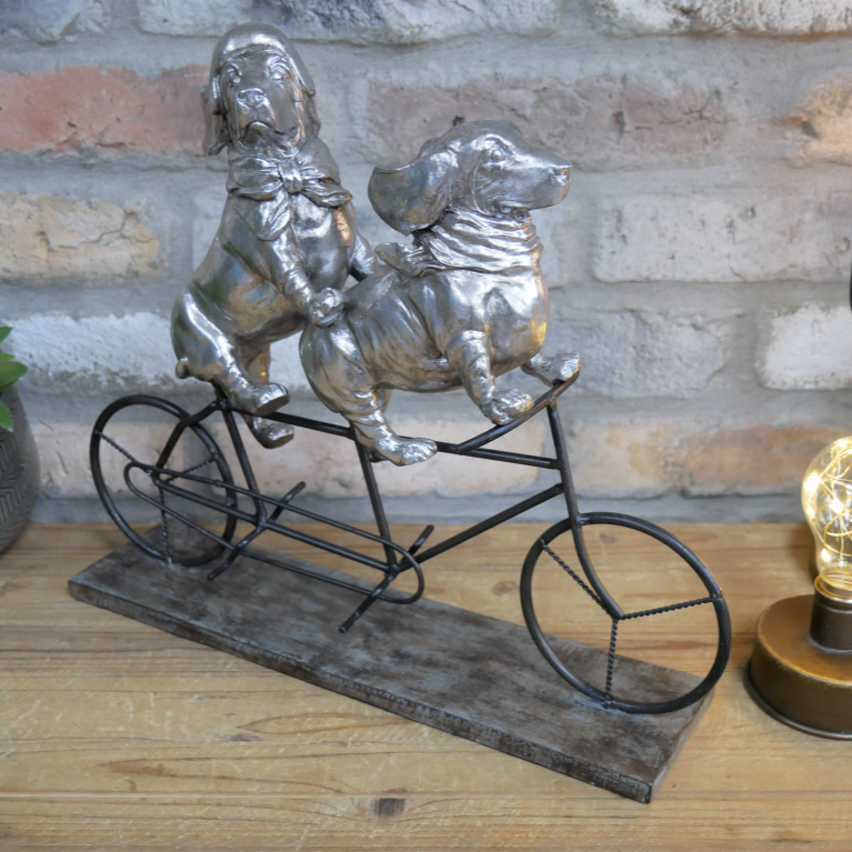 Dogs On A Bicycle