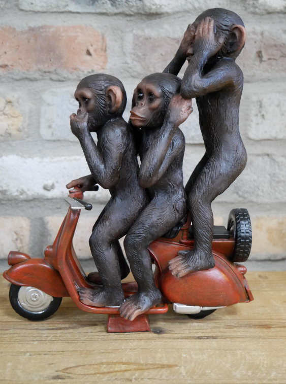 Monkeys On A Scooter