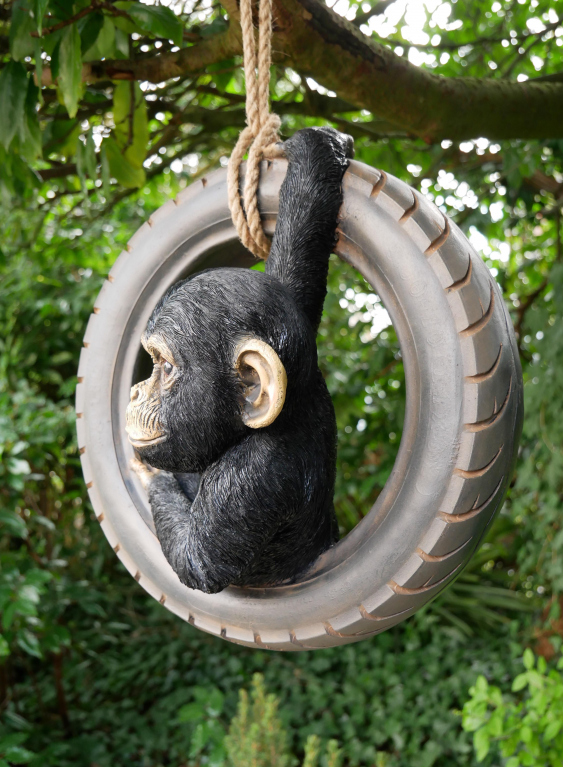 Chimpanzee On Tyre Swing