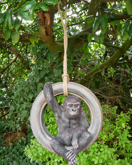 Gorilla On Tyre Swing