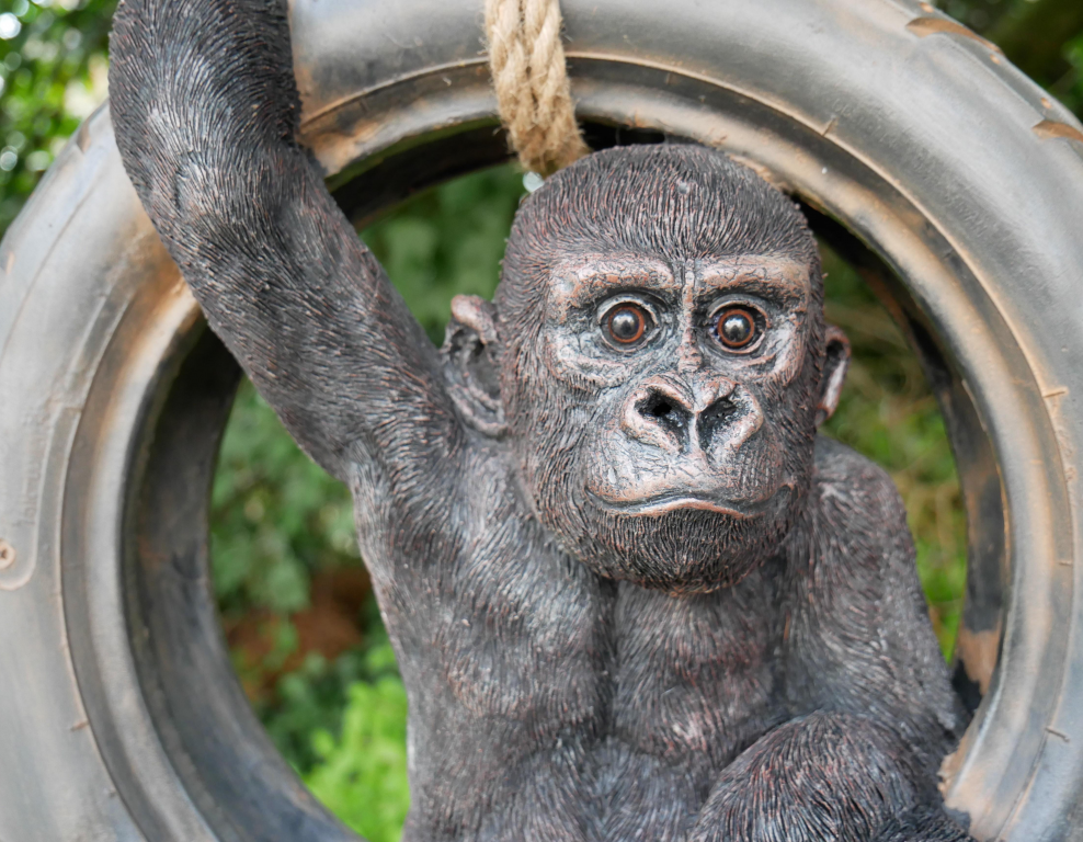 Gorilla On Tyre Swing