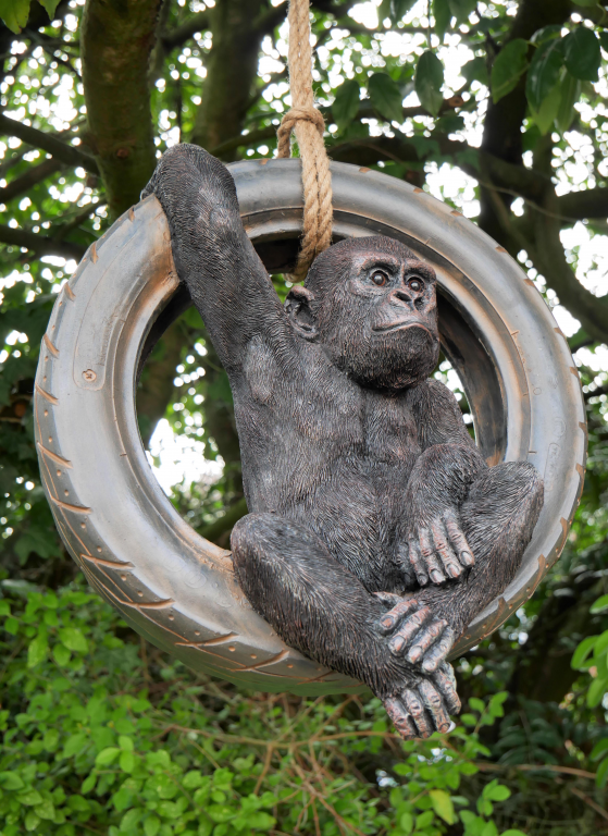 Gorilla On Tyre Swing