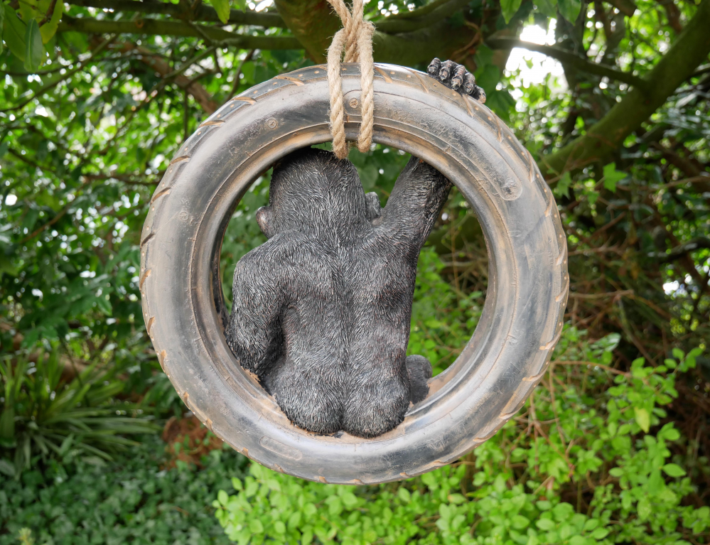Gorilla On Tyre Swing