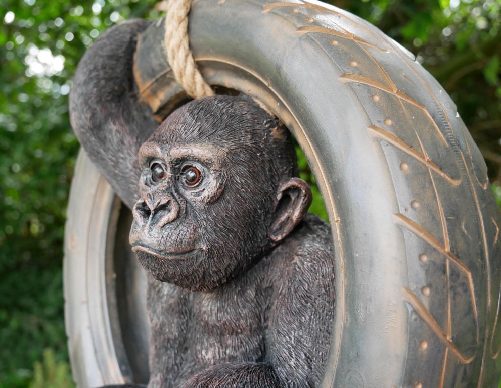 Gorilla On Tyre Swing