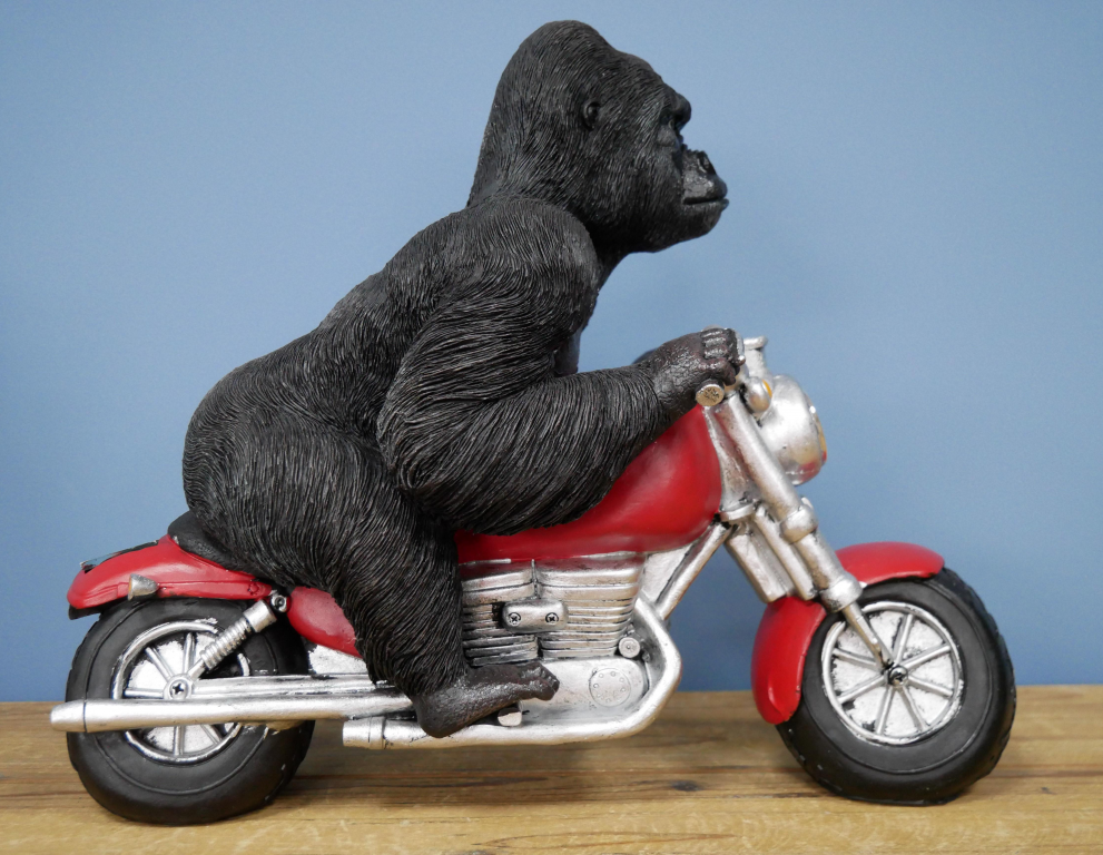 Gorilla On Motorbike With Light