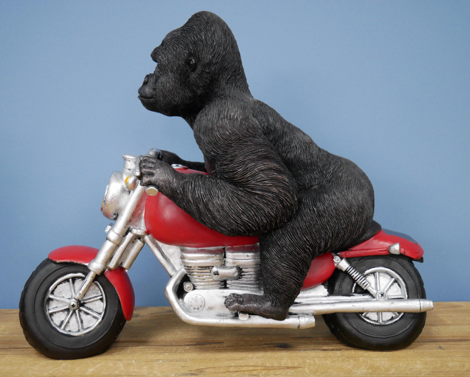 Gorilla On Motorbike With Light