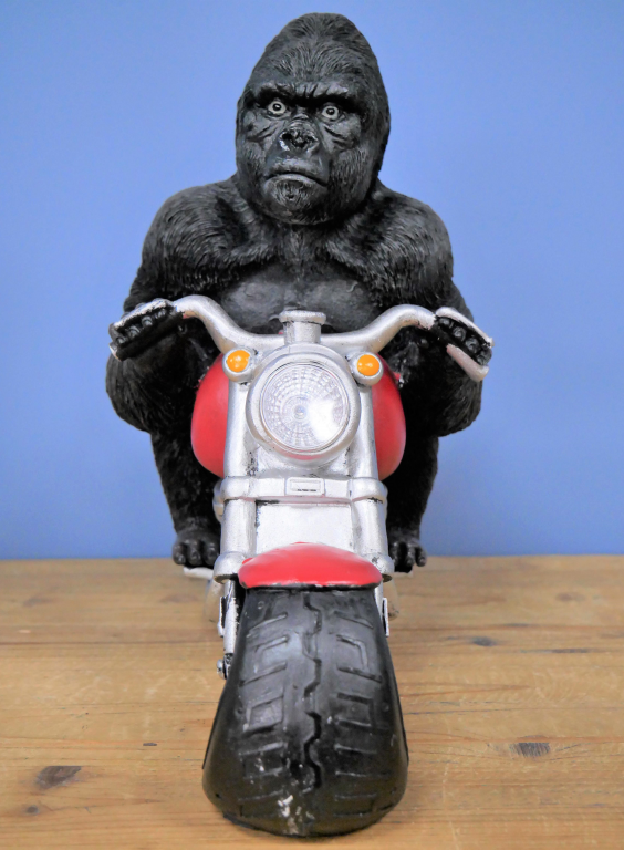 Gorilla On Motorbike With Light