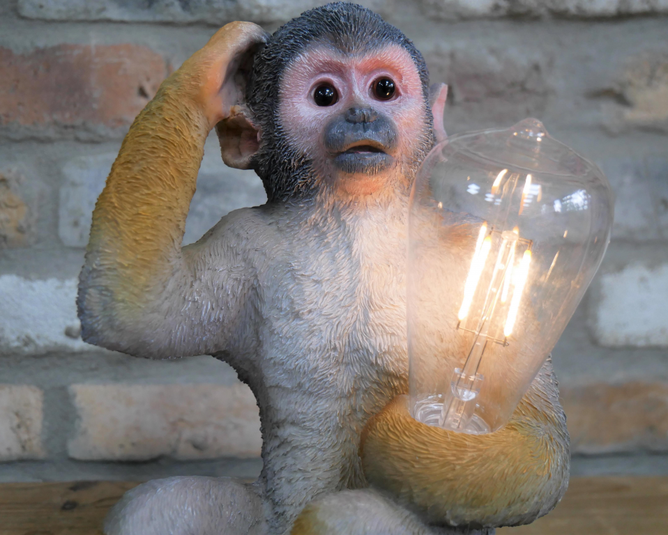 Monkey Light