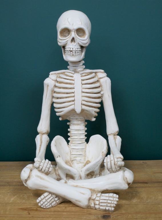 Yoga Skeleton