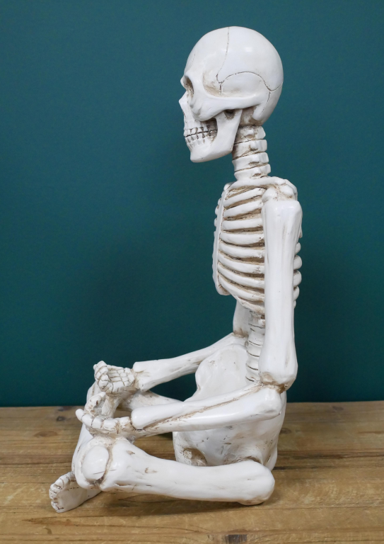 Yoga Skeleton