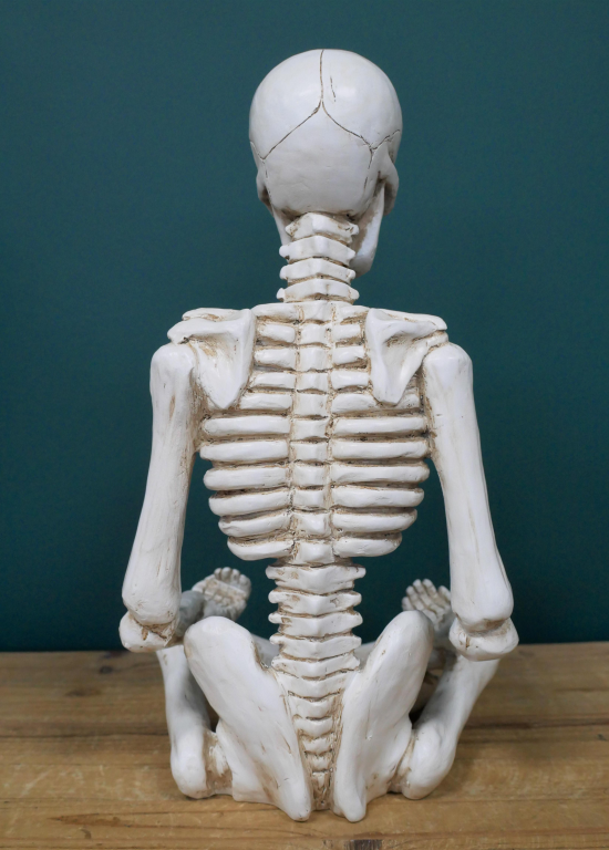 Yoga Skeleton