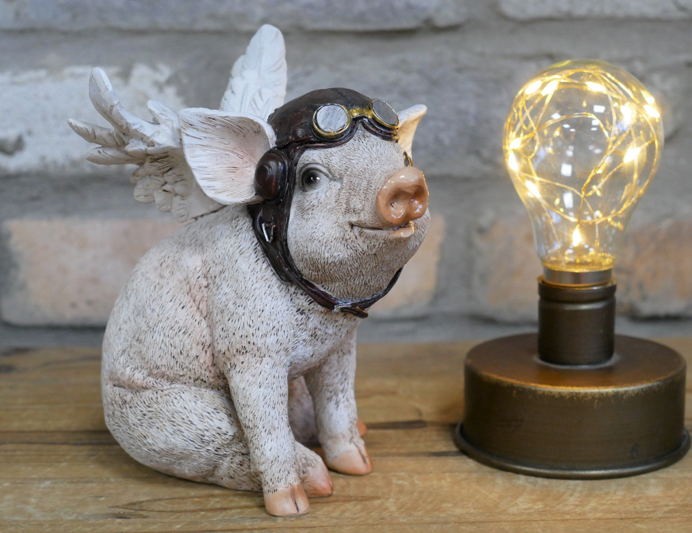 Flying Pig