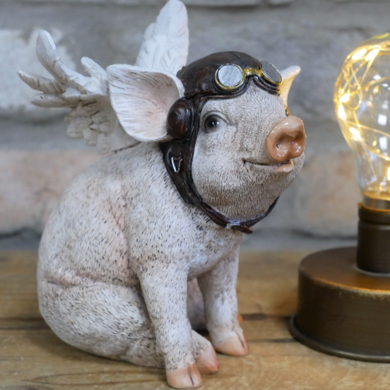 Flying Pig