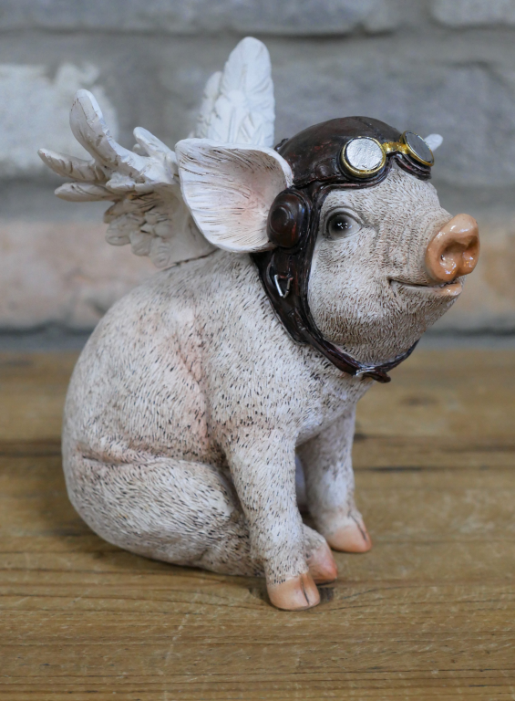 Flying Pig