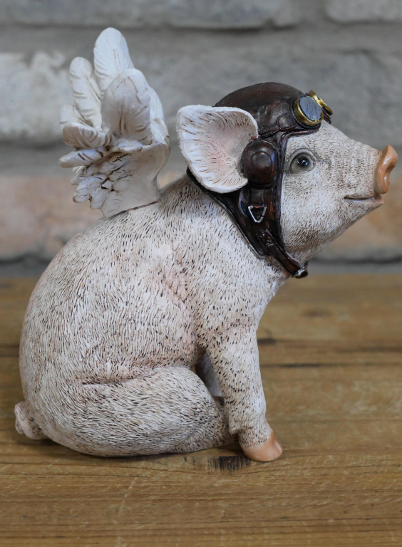 Flying Pig