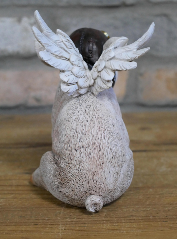 Flying Pig