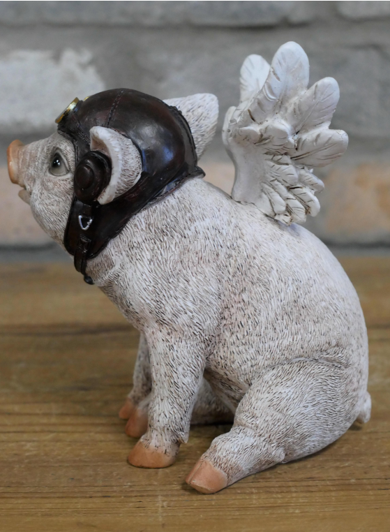 Flying Pig