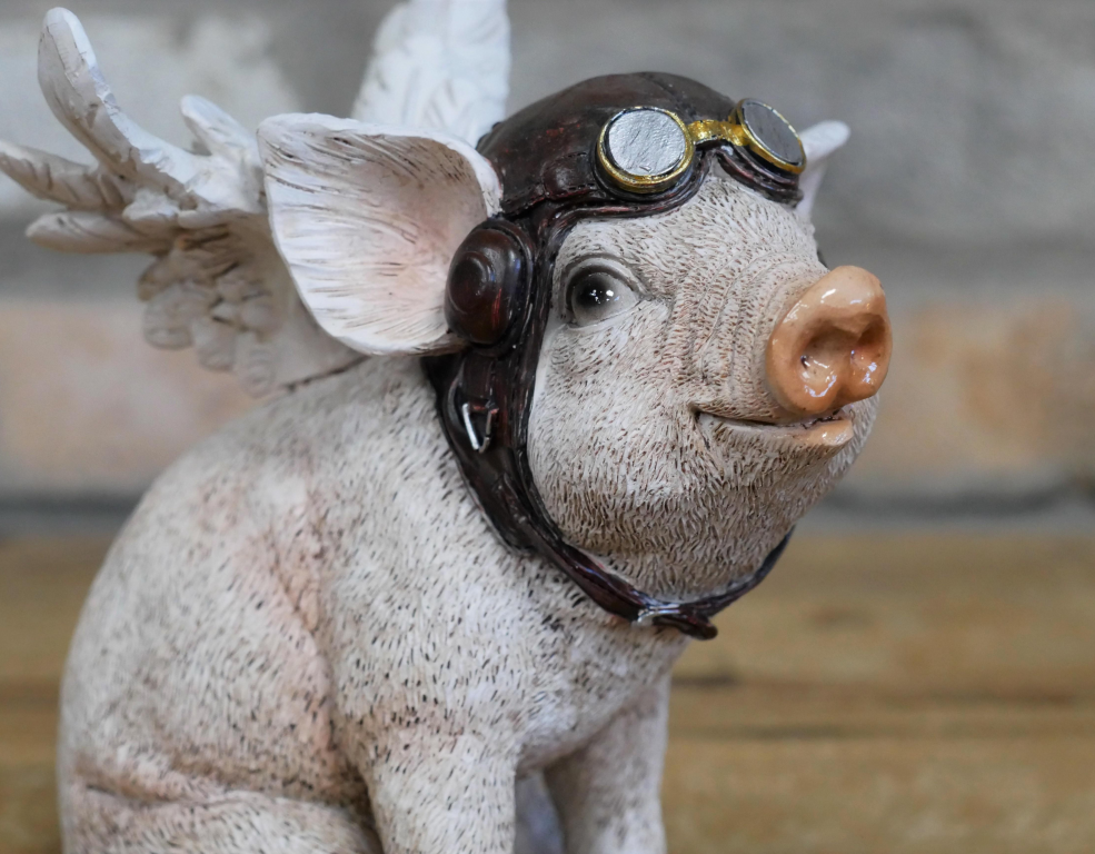 Flying Pig