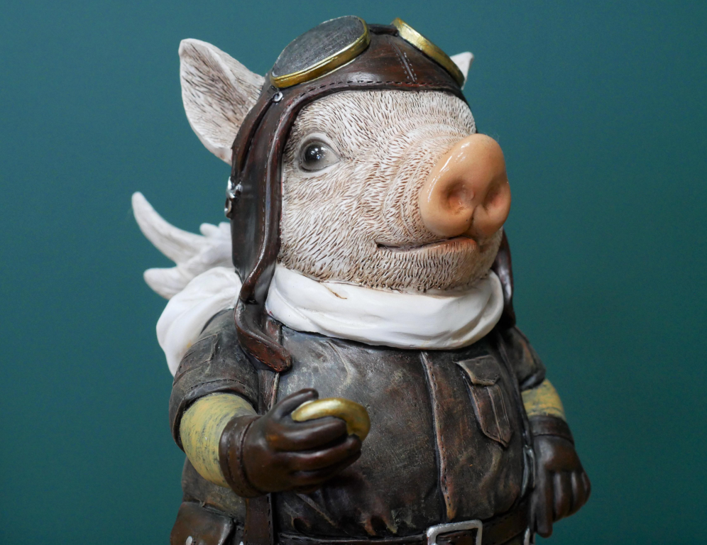 Pig Pilot