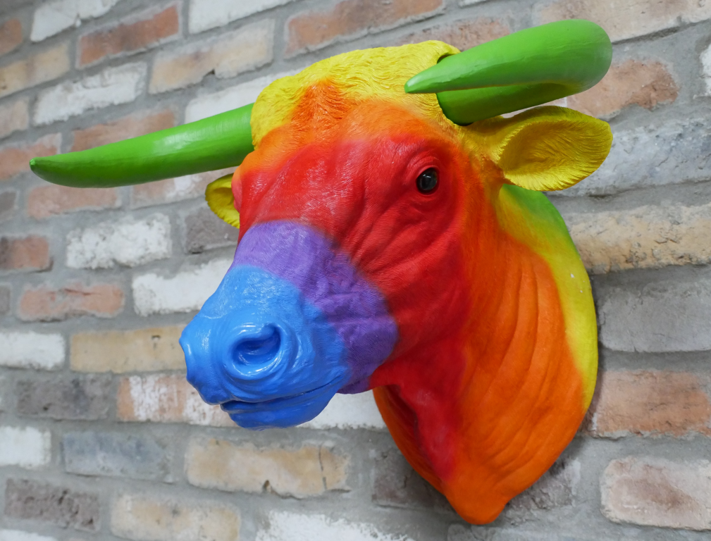 Rainbow Bull Head