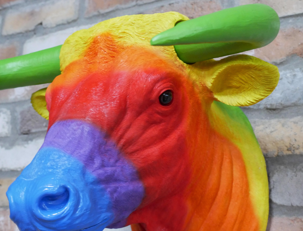 Rainbow Bull Head