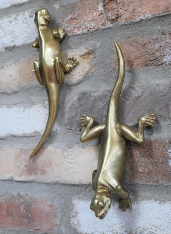 Set Of Two Lizards