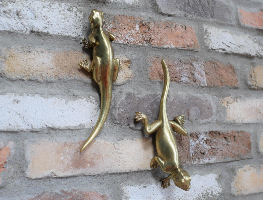 Set Of Two Lizards