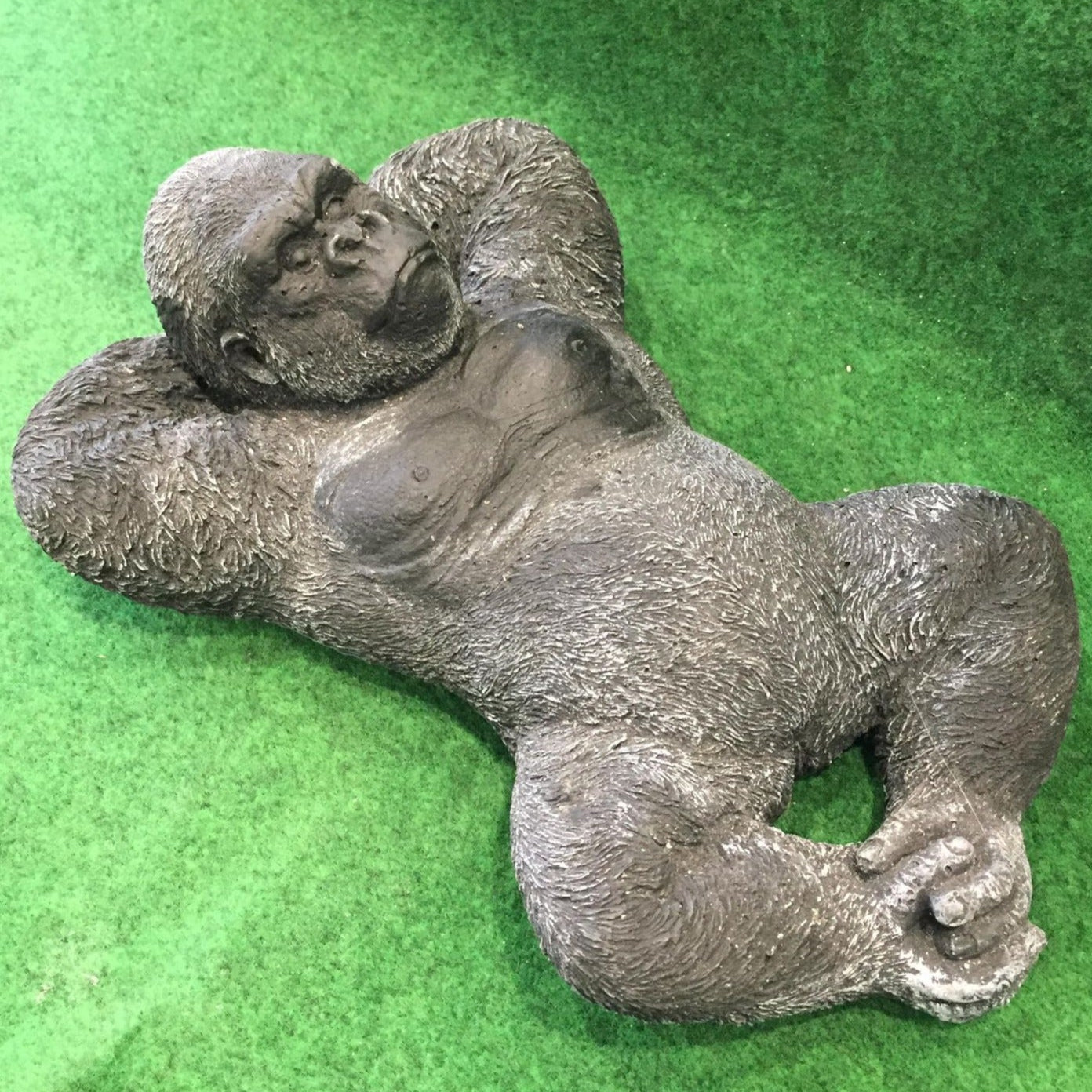 Gorilla Lay Down