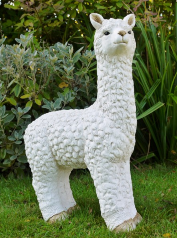 Llama (White)