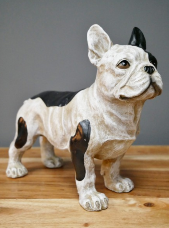 French Bulldog (Standing)