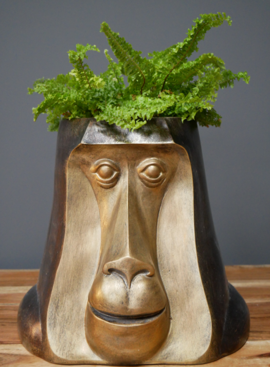 Monkey Head Pot