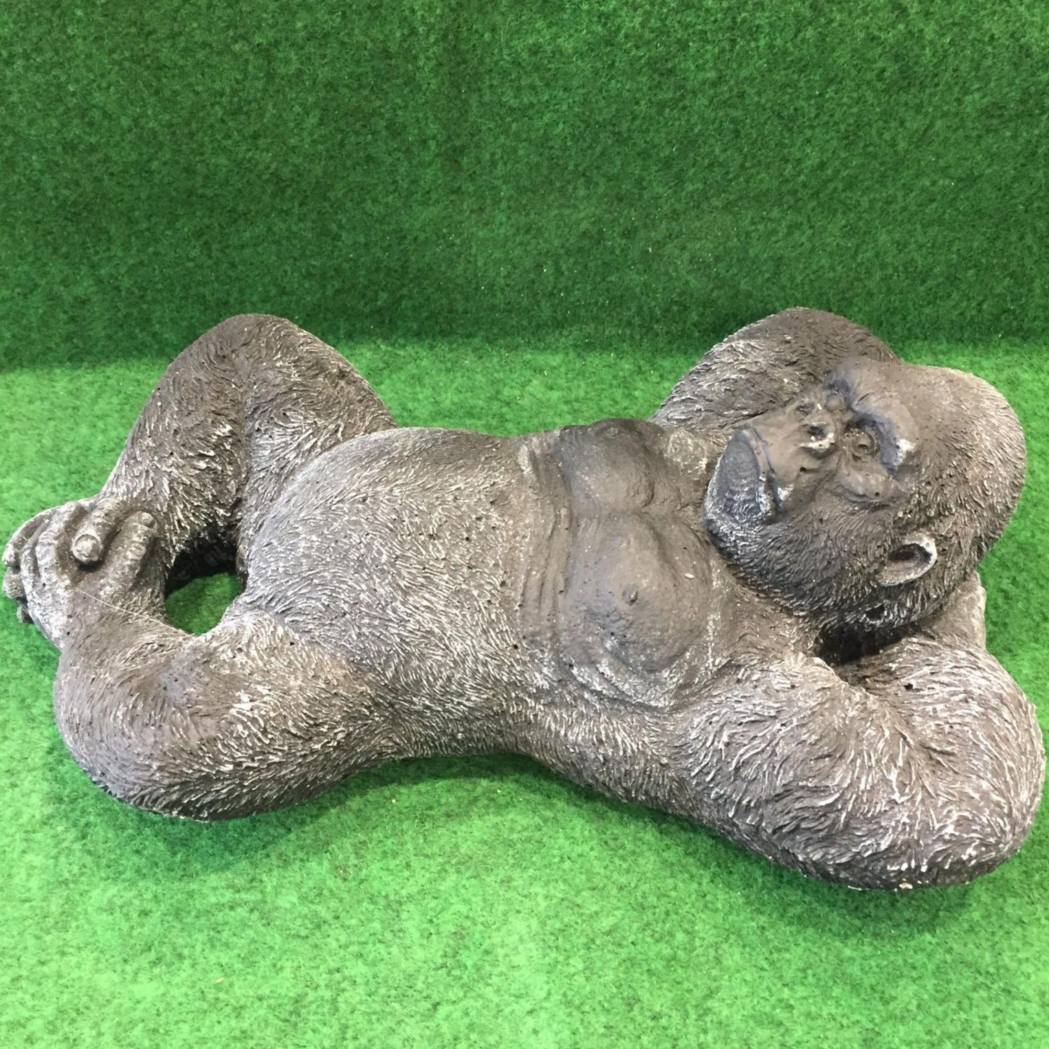 Gorilla Lay Down