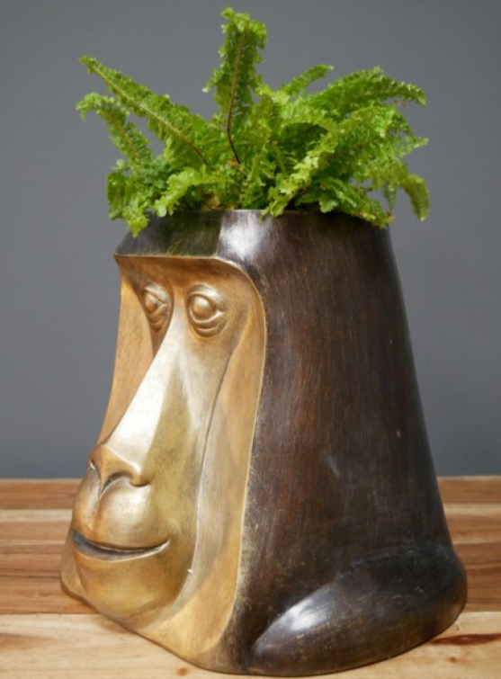 Monkey Head Pot