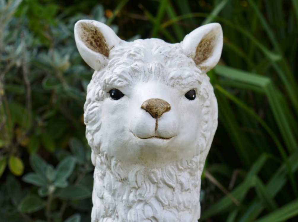 Llama (White)