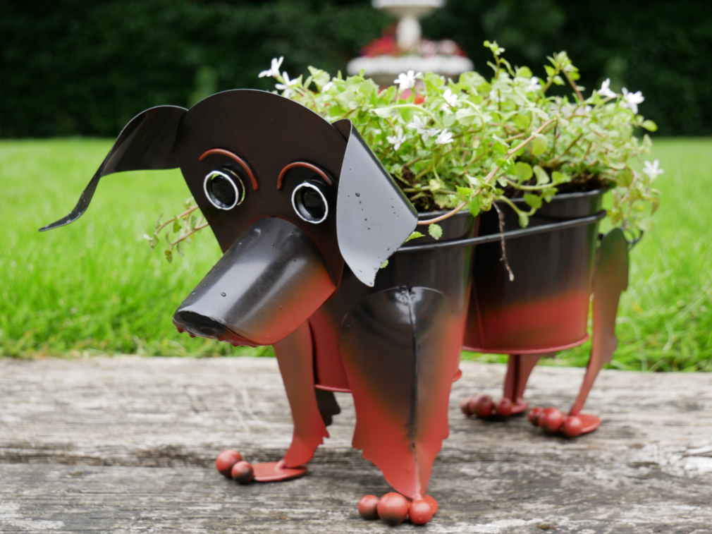 Sausage Dog Planter