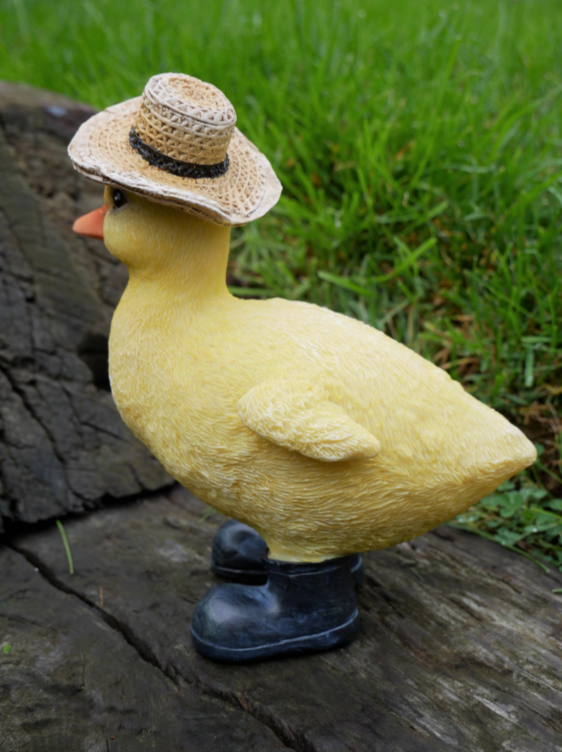 Duckling With Hat