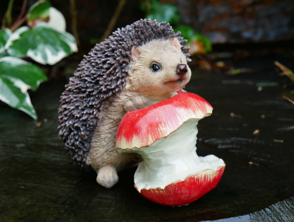 Hedgehog