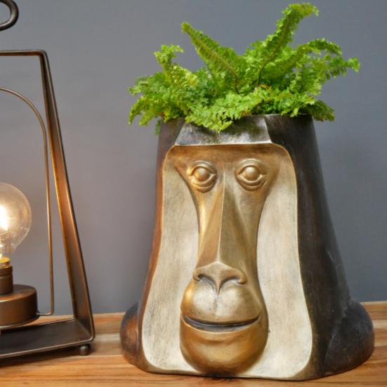 Monkey Head Pot