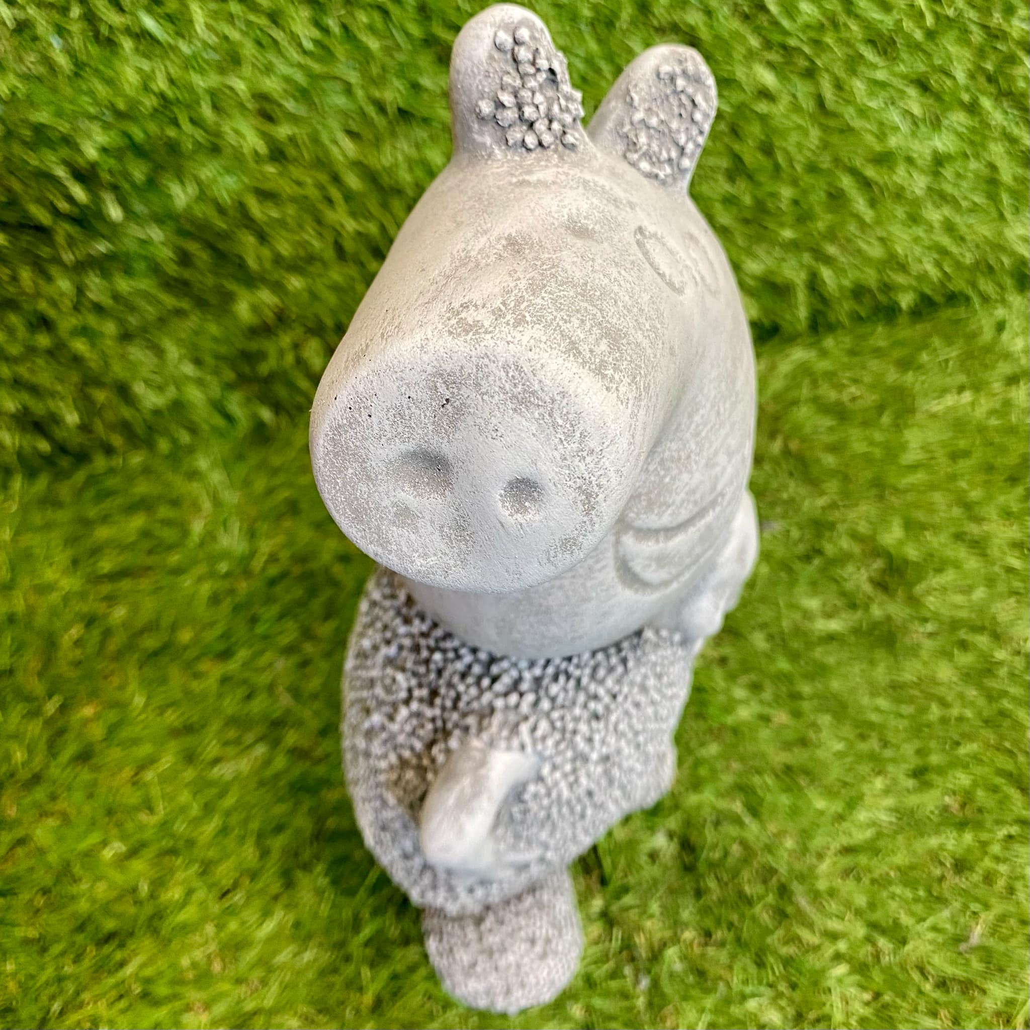 Cartoon Pig