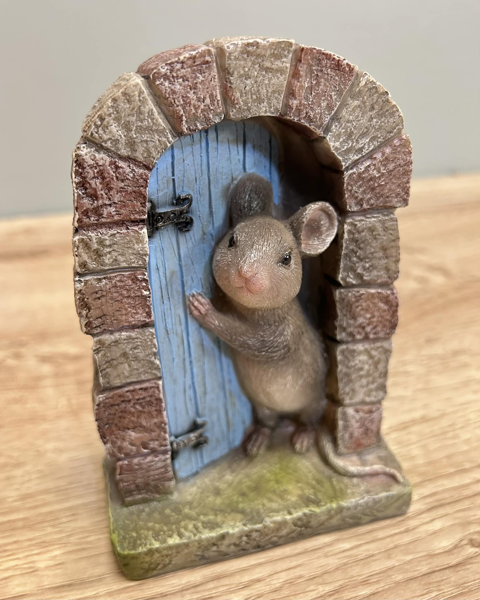 Mouse Door