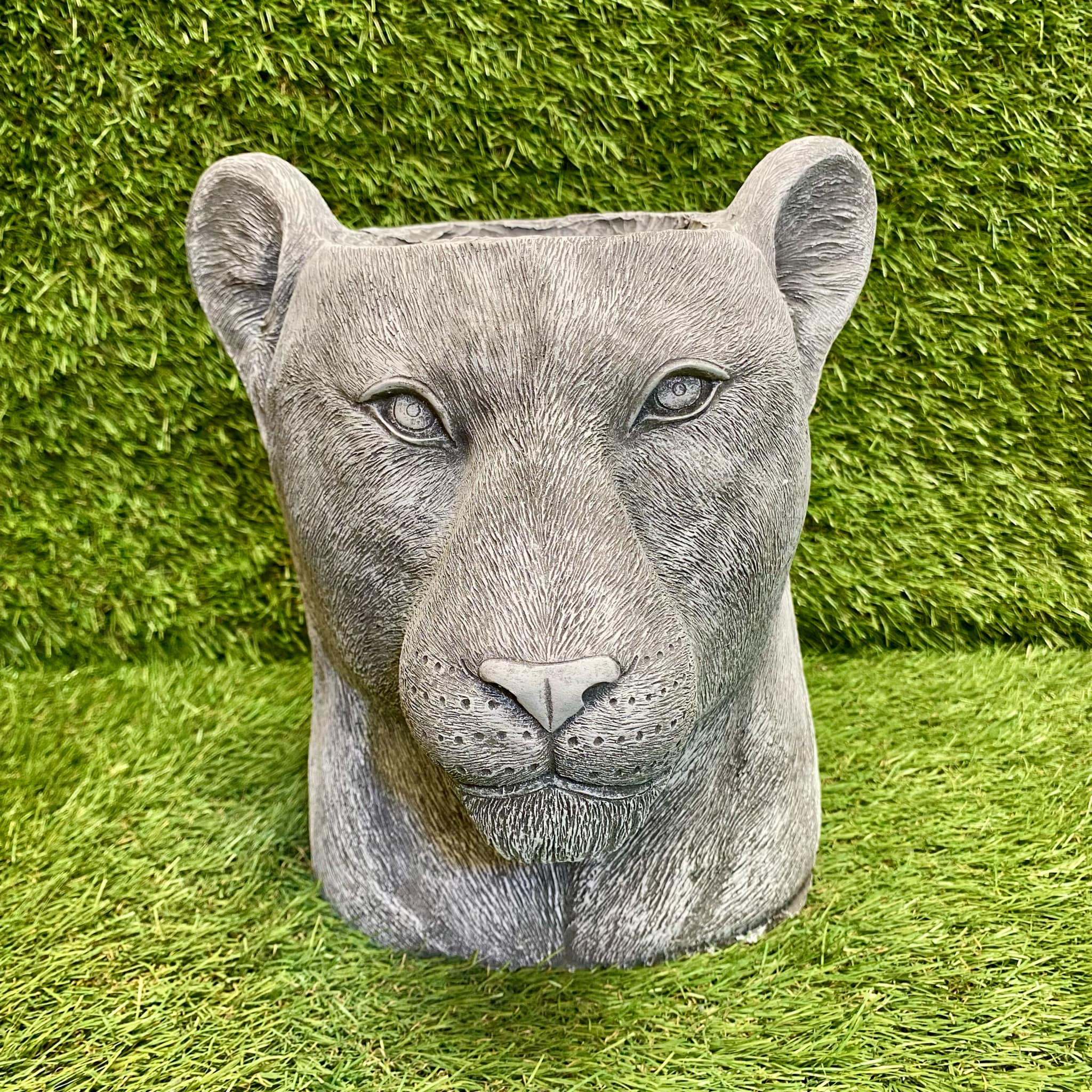 Lion Head Planter