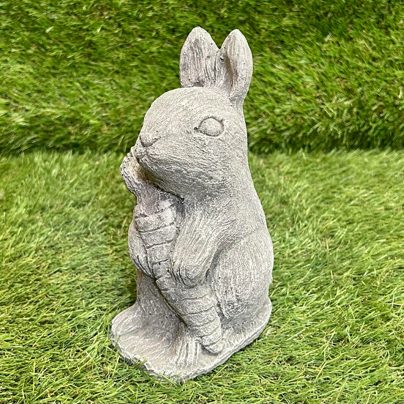 Rabbit With Carrot