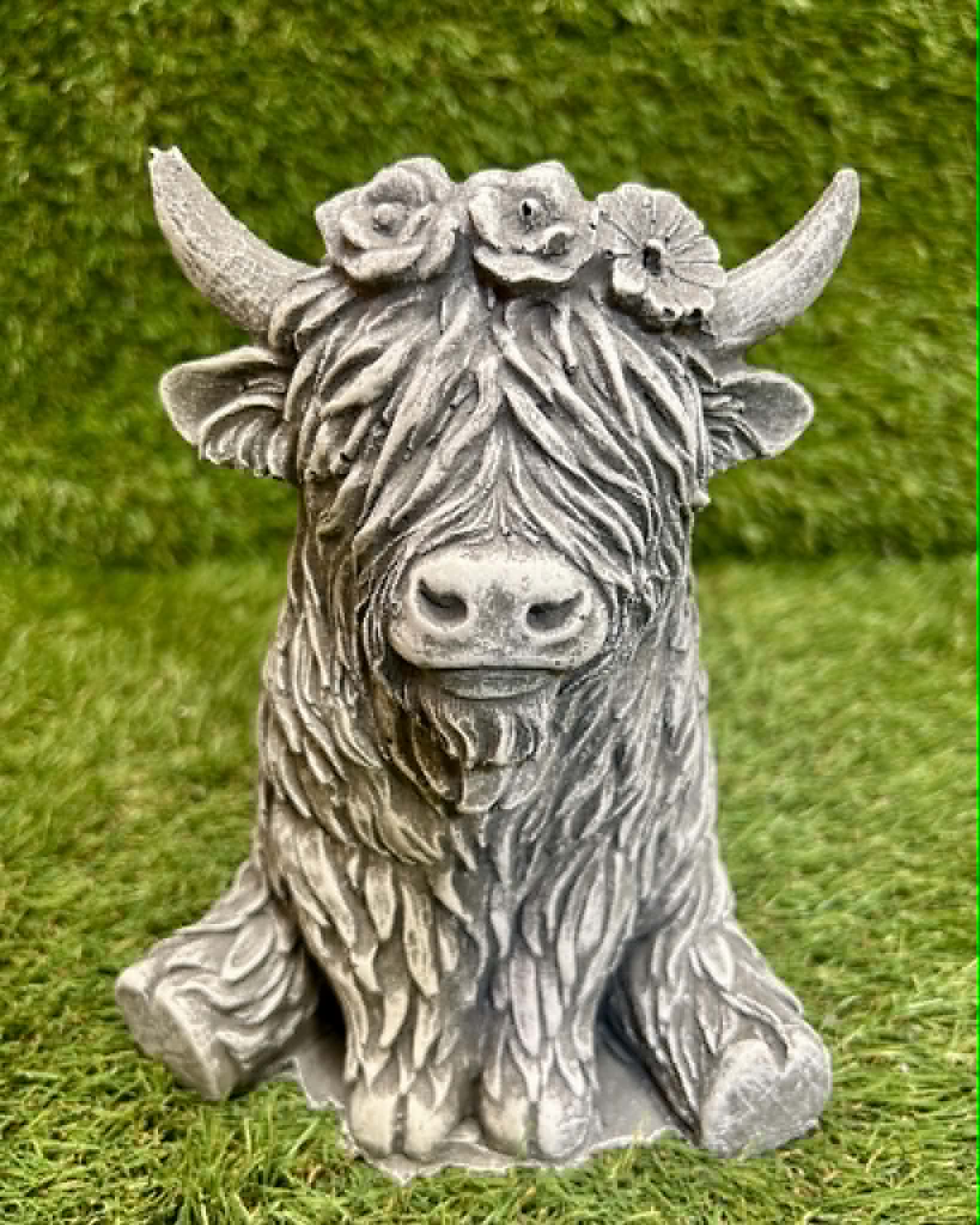 Small Highland Cow