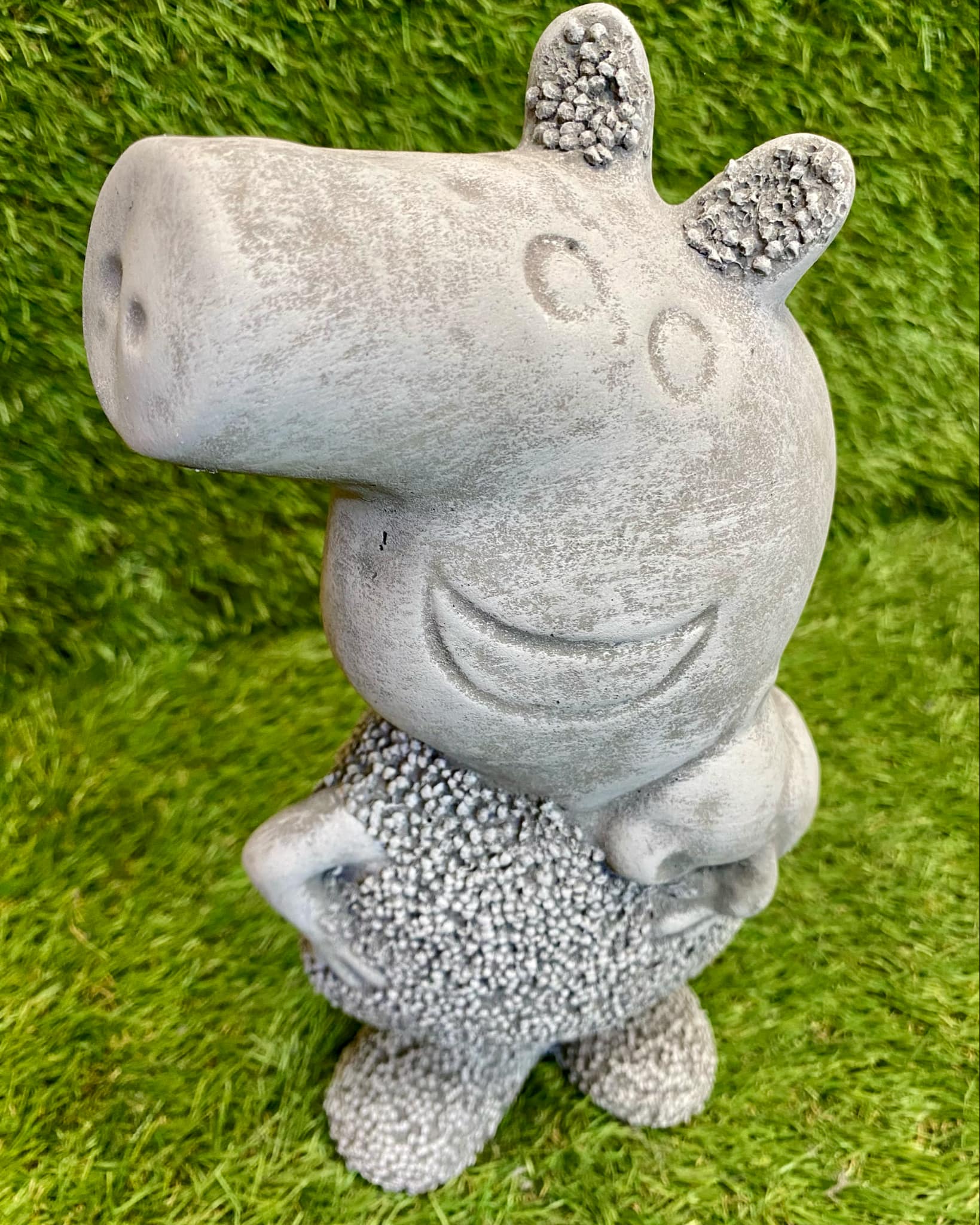 Cartoon Pig
