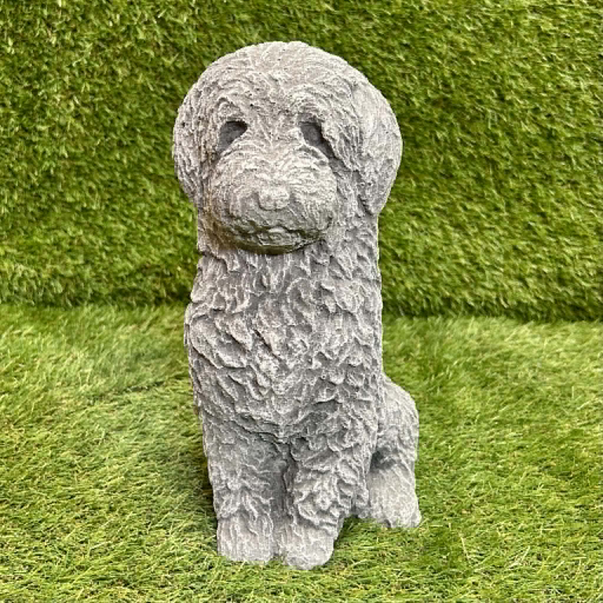 Cockapoo