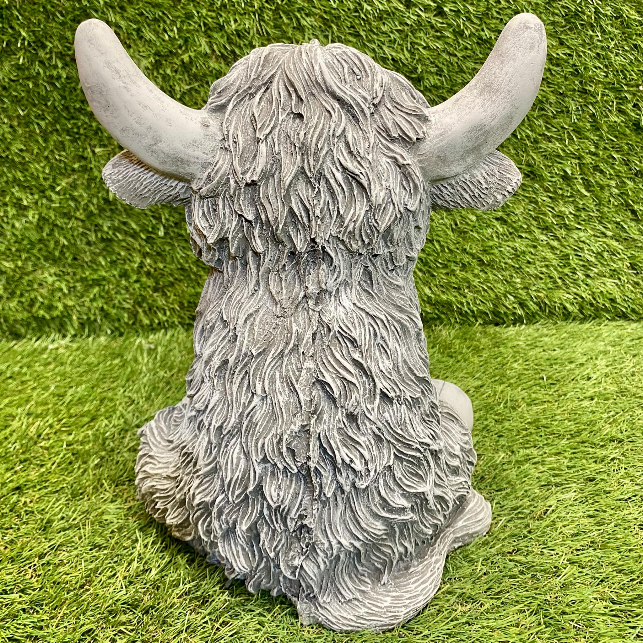 Highland Cow