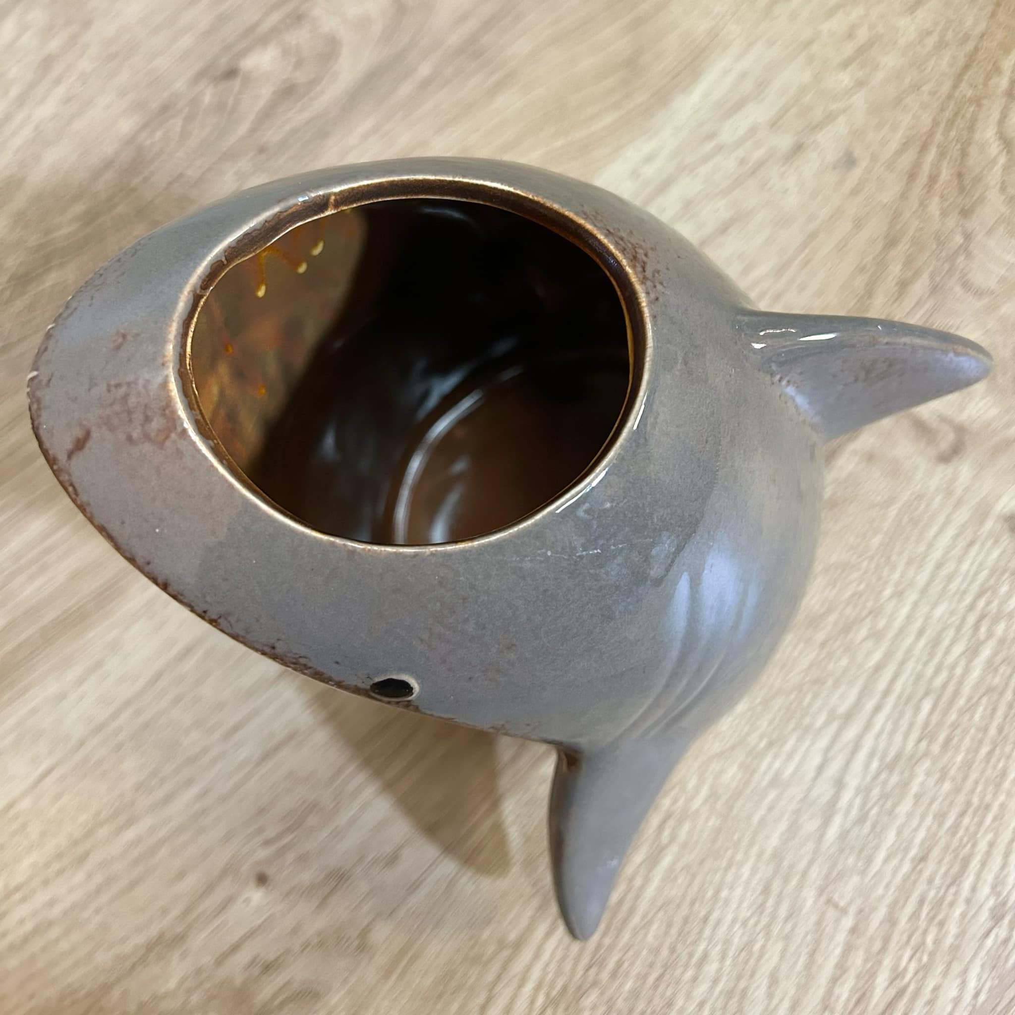 Shark Planter