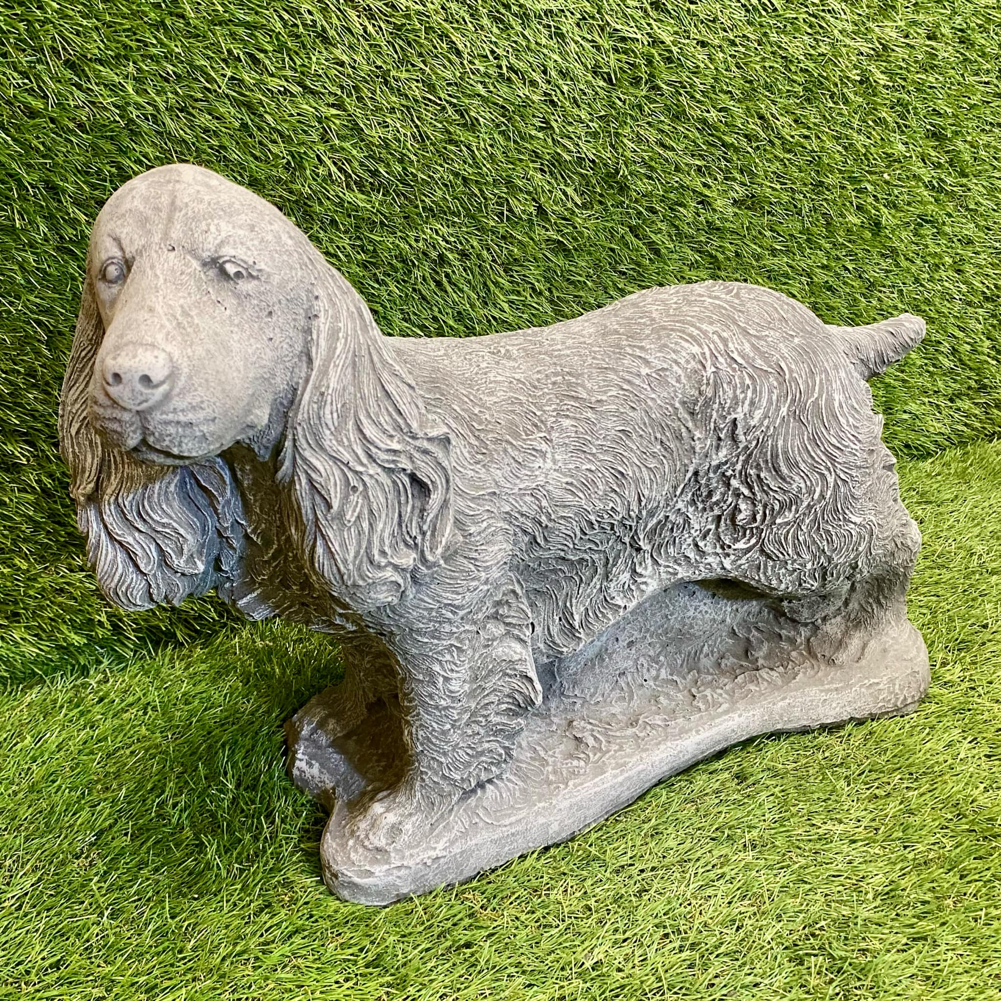 Large Spaniel Dog